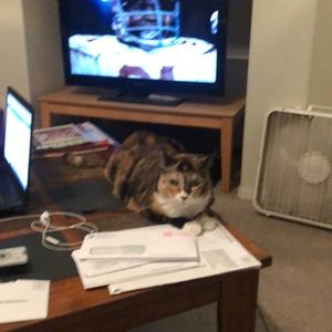 Meet your Posher, Renee